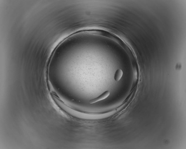 X0000111940813200907271411