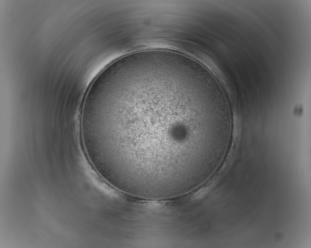 X0000111940814200907271411