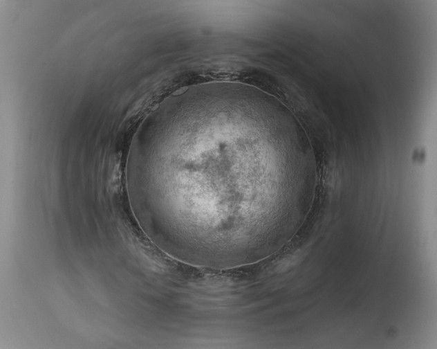 X0000111940818200907271411