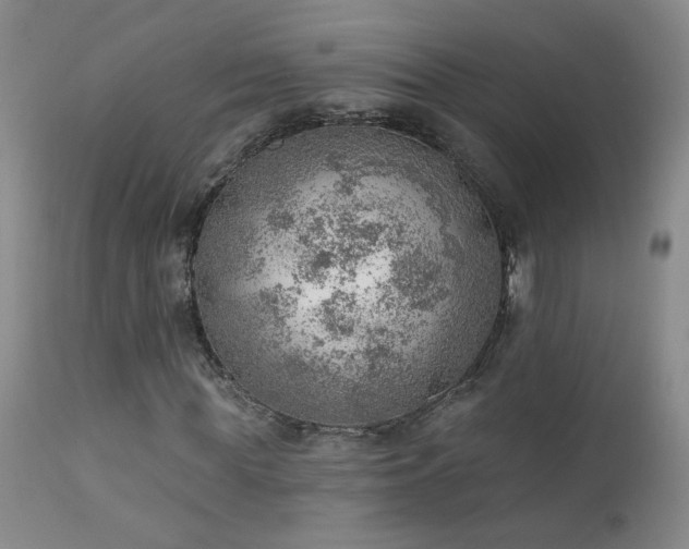 X0000111940819200907271411