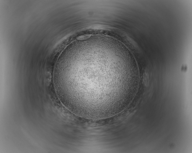 X0000111940821200907271411