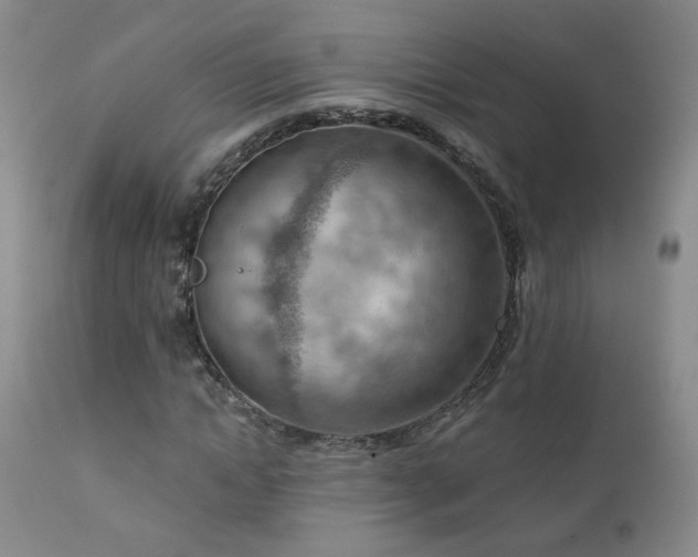 X0000111940822200907271411