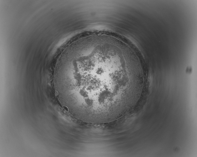 X0000111940823200907271411