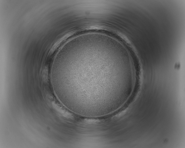 X0000111940825200907271411