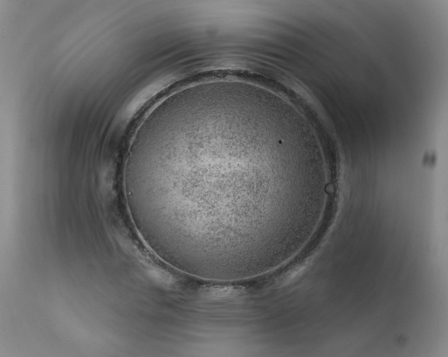 X0000111940826200907271411