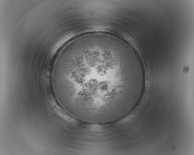 X0000111940827200907271411