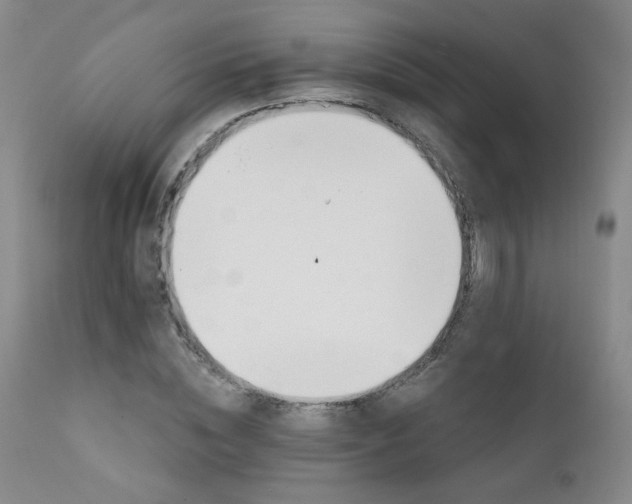 X0000111940828200907271411