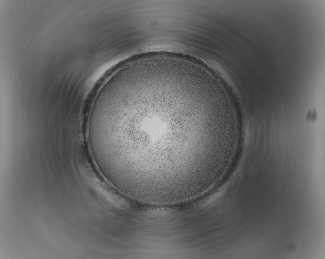 X0000111940830200907271411