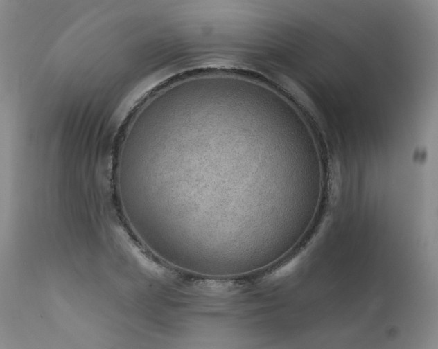 X0000111940831200907271411