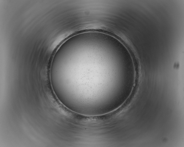 X0000111940834200907271411