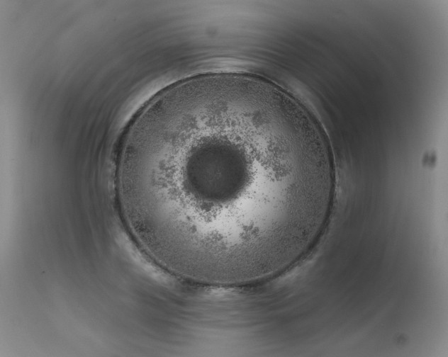 X0000111940835200907271411