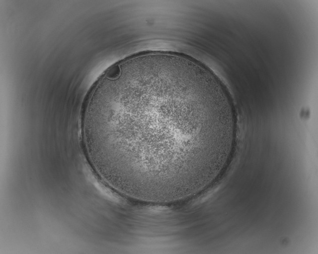 X0000111940837200907271411