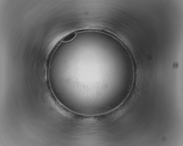 X0000111940838200907271411