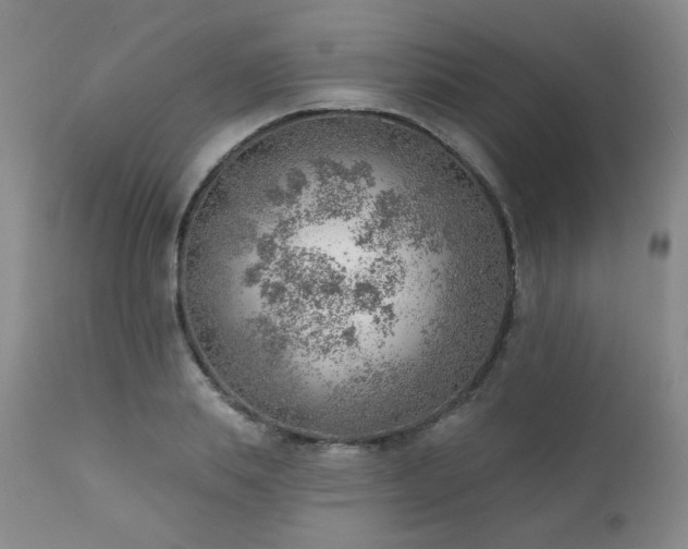 X0000111940839200907271411