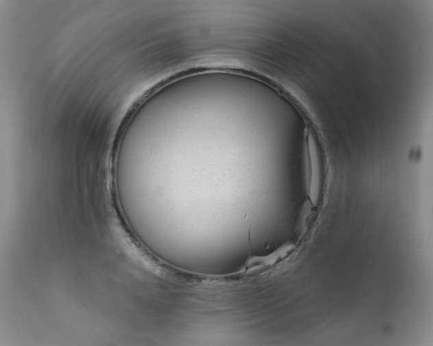 X0000111940840200907271411