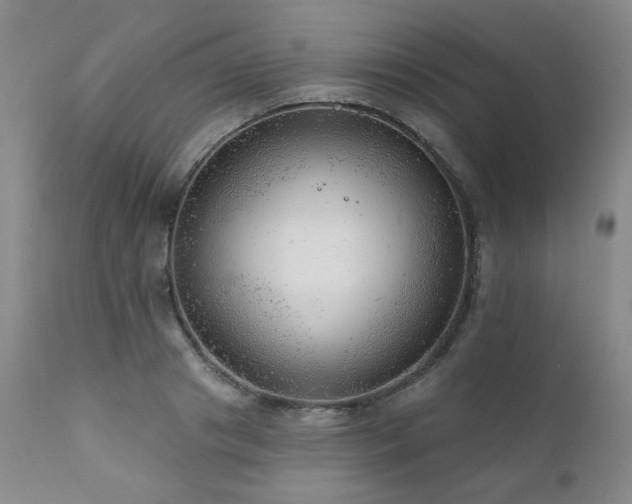 X0000111940841200907271411