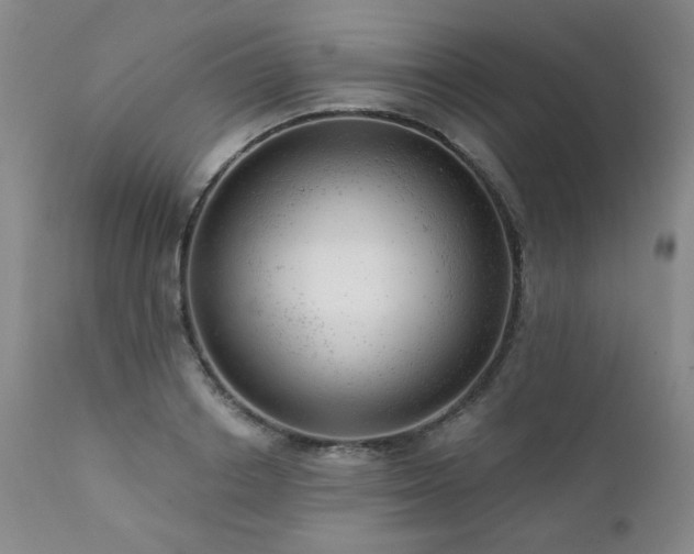 X0000111940842200907271411