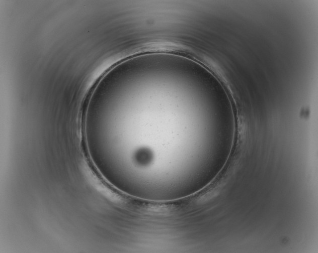 X0000111940843200907271411