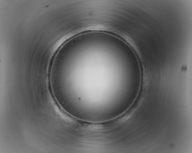 X0000111940845200907271411