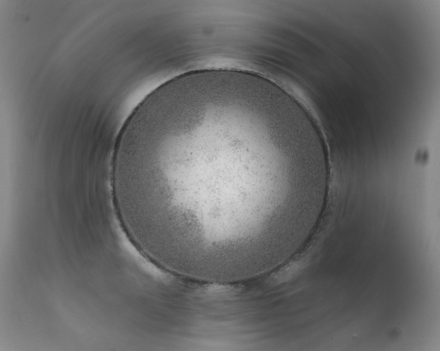 X0000111940847200907271411