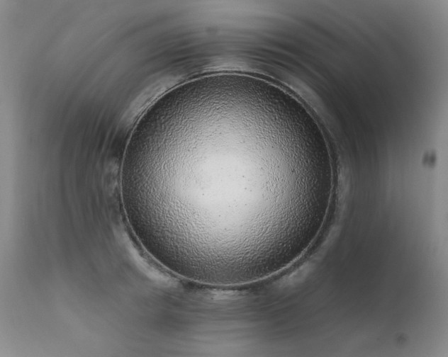 X0000111940849200907271411