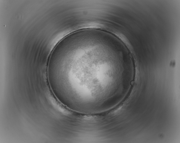 X0000111940850200907271411