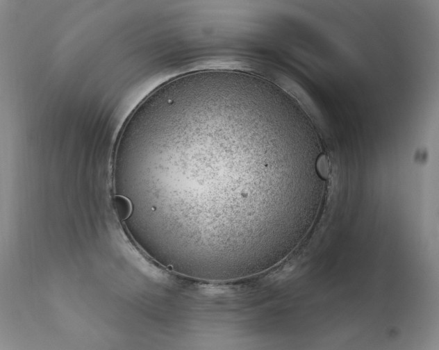 X0000111940852200907271411