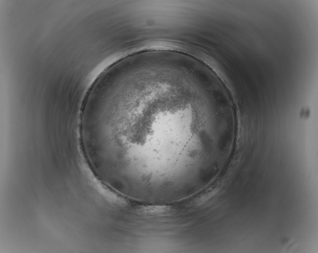 X0000111940853200907271411