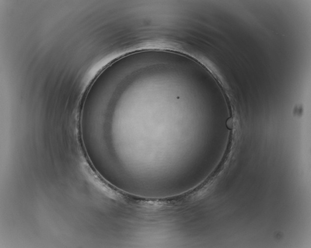 X0000111940854200907271411