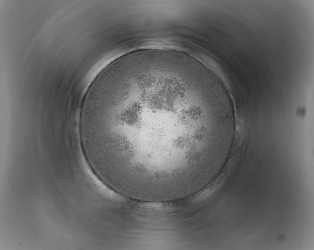 X0000111940855200907271411