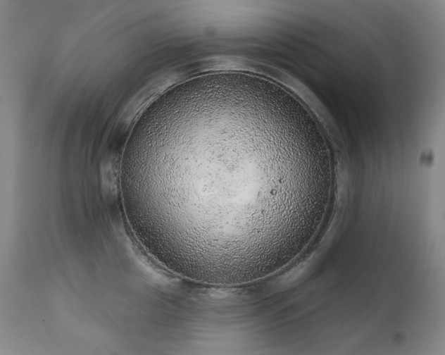 X0000111940857200907271411