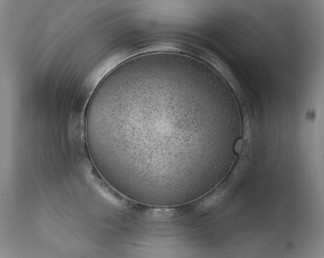 X0000111940858200907271411