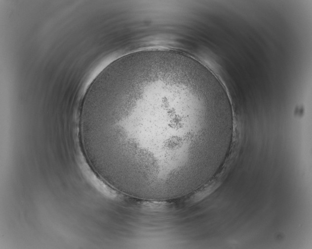 X0000111940859200907271411