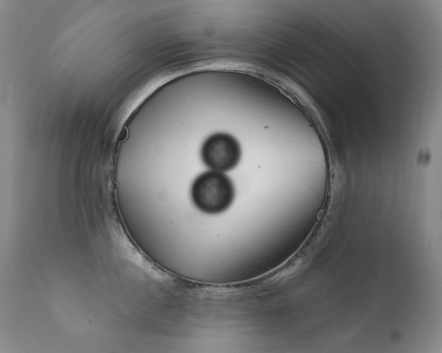 X0000111940860200907271411