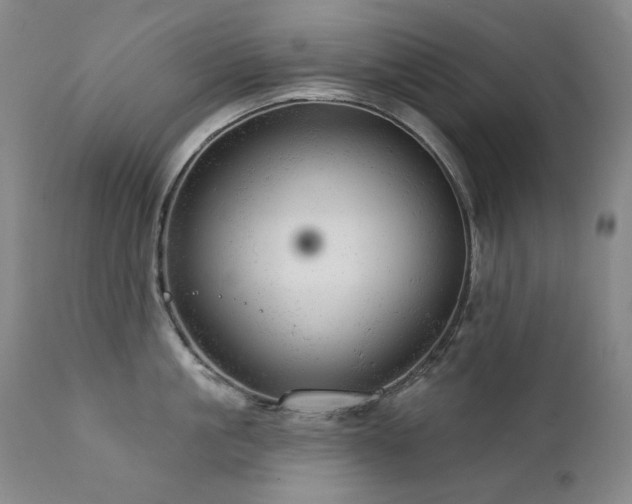 X0000111940861200907271411