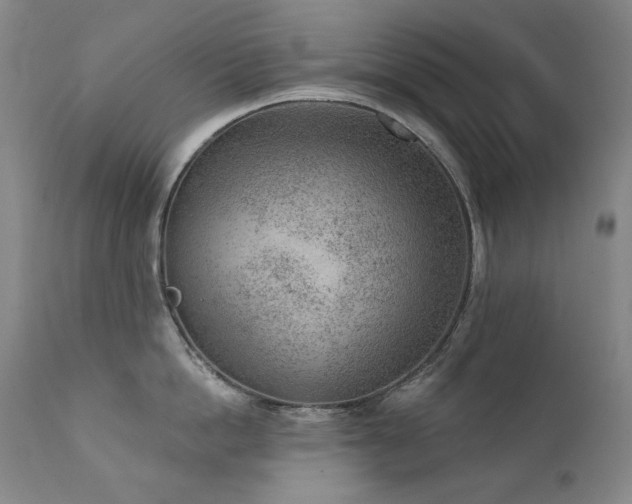 X0000111940862200907271411