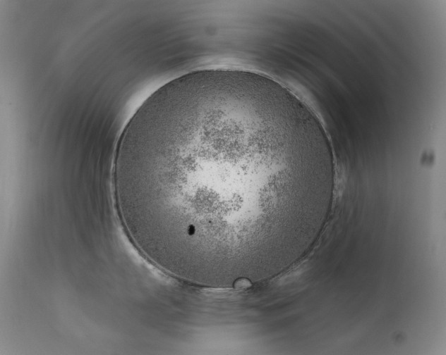 X0000111940863200907271411