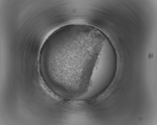 X0000111940864200907271411