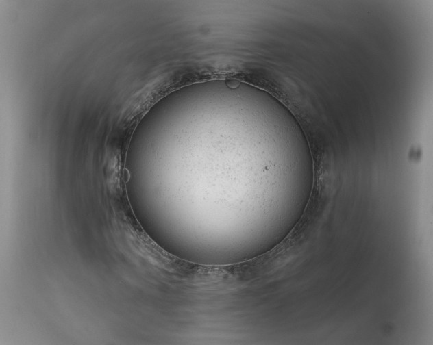 X0000111940866200907271411