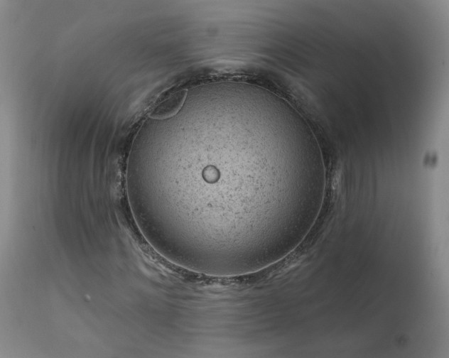 X0000111940868200907271411