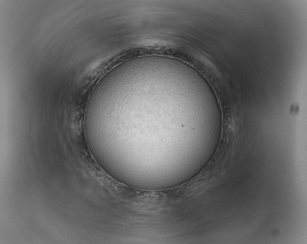 X0000111940869200907271411