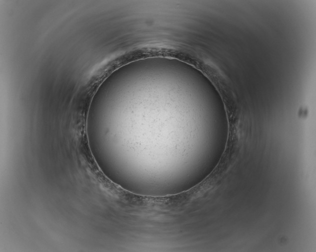 X0000111940870200907271411