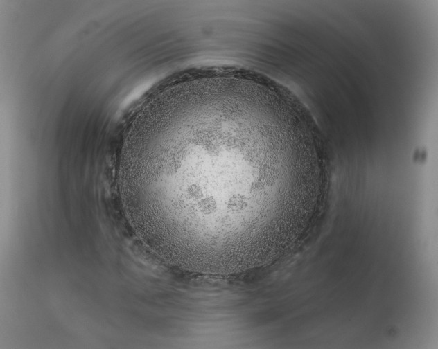 X0000111940871200907271411