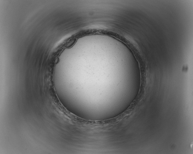 X0000111940872200907271411