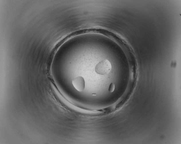 X0000111940873200907271411