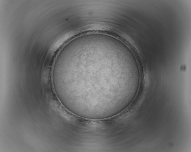 X0000111940874200907271411