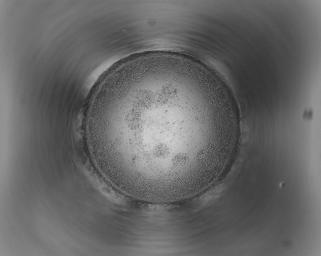 X0000111940875200907271411