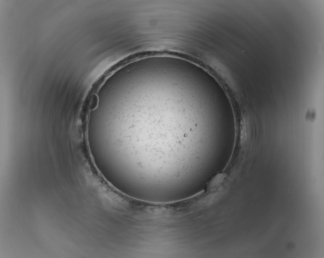 X0000111940876200907271411