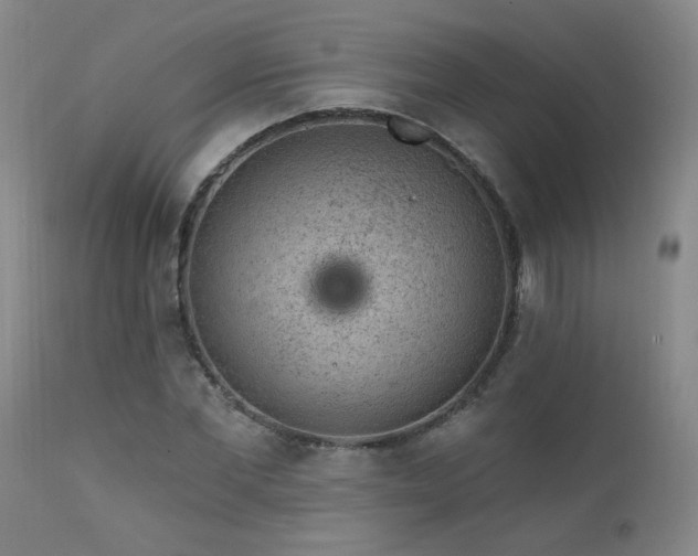 X0000111940877200907271410