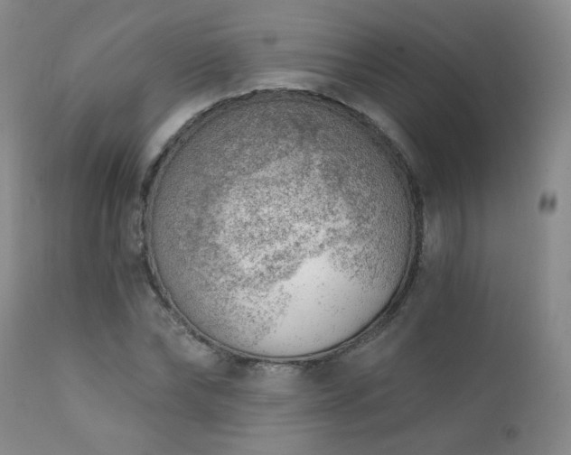 X0000111940878200907271410